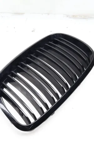 Place Order BMW Front Left Hood Grille (X6, X5) 51137185223
