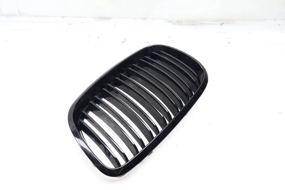 Place Order BMW Front Left Hood Grille (X6, X5) 51137185223