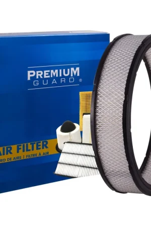 Fresh Stock 1975 Buick Electra Air FilterPA74