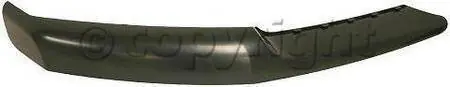 FRONT BUMPER FILLER RH (PASSENGER SIDE) Best Seller