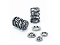 Sale Supertech Nissan SR20DET Dual Valve Spring Kit