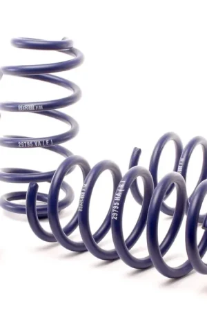 Top Pick H&R H&R 01-05 Volkswagen Passat 4Motion Sedan/Wagon Sport Spring (Non W8)