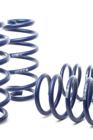 Price Drop H&R H&R 02-03 Audi S6 (AWD) Sport Spring