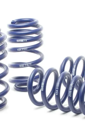 H&R H&R 02-08 Audi A4 Avant Quattro/A4 Quattro (AWD) V6 8E Sport Spring (Incl. Facelift Model) High Quality