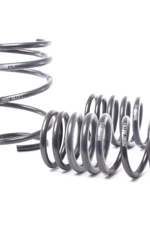 H&R H&R 04-06 BMW 525i/530i/545i E60 Race Spring (w/o Self Leveling) Buy Online