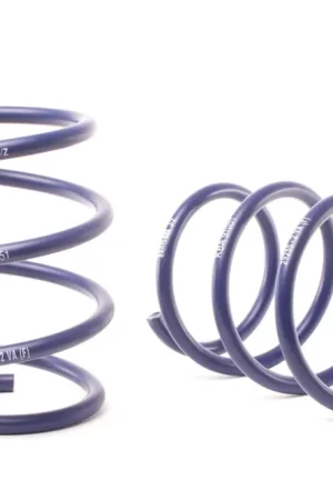 H&R H&R 04-06 BMW 545i E60 Sport Spring (w/Self Leveling) Buy Direct