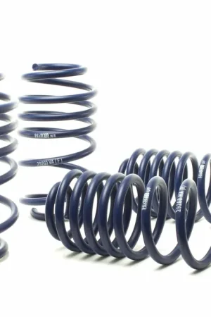 H&R H&R 05-10 Volkswagen Jetta/Jetta Sportwagen 2.5L/1.9L TDI/2.0T MK5 Race Spring Top Pick