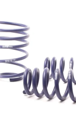 Big Sale H&R H&R 07-11 BMW 328i Sedan/335i Sedan E90 Race Spring