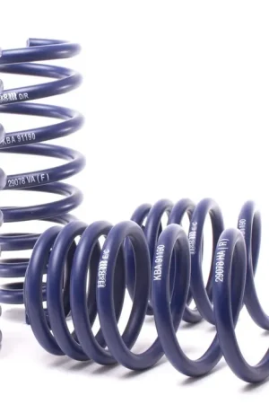 Top Pick H&R H&R 07-13 BMW X5 E70 Sport Spring (w/o Self-Leveling/Incl. Diesel)