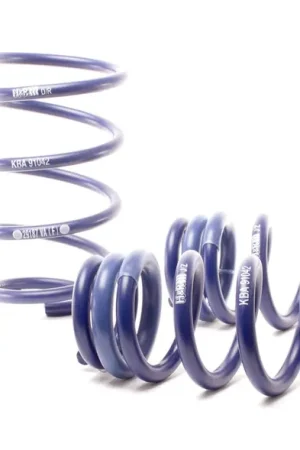 Weekend Sale H&R H&R 08-11 BMW 335d Sedan E90 Sport Spring