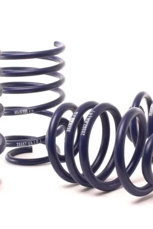 H&R H&R 09-16 BMW Z4 sDrive30i/Z4 sDrive35i/Z4 sDrive35is E89 Sport Spring (w/Sport Susp.) Genuine