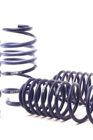 H&R H&R 10-19 Ford Fiesta 1.6L/1.0L EcoBoost Super Sport Spring Popular