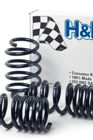 H&R H&R 10-19 Ford Taurus SHO (AWD) V6 Turbo Sport Spring Premium