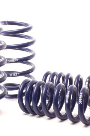 H&R H&R 11-14 Dodge Challenger RT/SRT8 V8 Sport Spring (w/o Nivomat) Viral