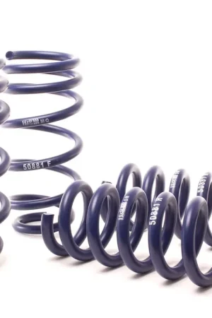 H&R H&R 11-14 Dodge Charger RT (2WD) RT MAX V8 Sport Spring Brand New