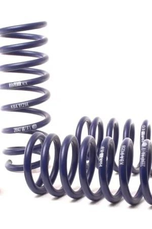 H&R H&R 12-19 BMW 650i Coupe/650i xDrive Coupe F13 Sport Spring Super Sale