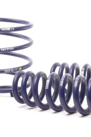 H&R H&R 13-15 BMW X1 sDrive28i E84 Sport Spring (2WD Only) Discount