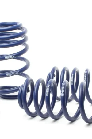 Don’t Miss Out H&R H&R 13-16 Audi A4 Allroad (AWD) B8 Sport Spring