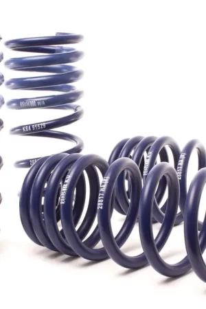 H&R H&R 14-18 BMW X5 xDrive35d/X5 xDrive35i F15 Sport Spring (w/o Self-Leveling/Non 2WD) High Quality