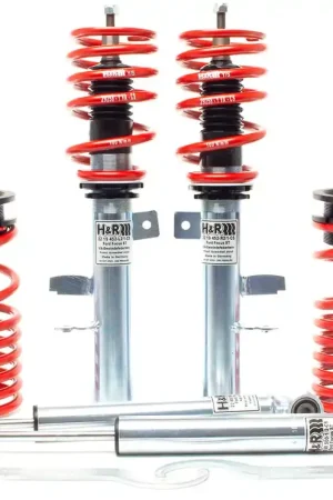 H&R H&R 14-19 Ford Focus ST RSS Coil Over Bargain