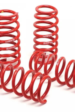 H&R H&R 17-19 Porsche 911 / 991 GT3 RS ID Race Spring Money Back Guarantee