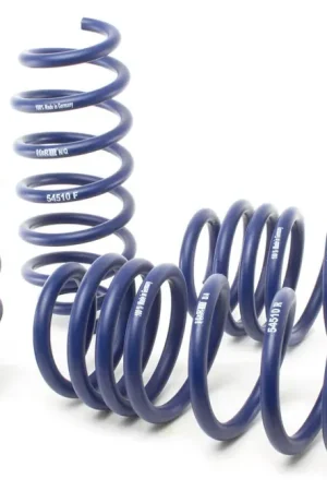 Holiday Sale H&R H&R 17-19 Tesla Model 3 Long Range (RWD) Sport Spring (Non Air Susp.)