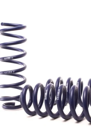 No Minimum Order H&R H&R 18-21 Audi Q5 Premium/Q5 Premium Plus/Q5 Prestige (AWD) FY Adventure Raising Spring