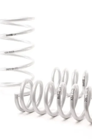 H&R H&R 90-95 BMW 525i E34 Sport Spring (Non Touring) Professional Grade