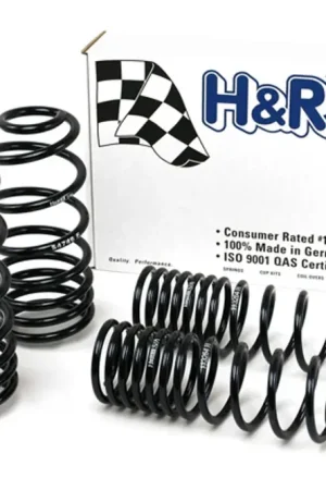 H&R H&R 93-94 Volkswagen Passat Sedan VR6 Sport Spring Markdown