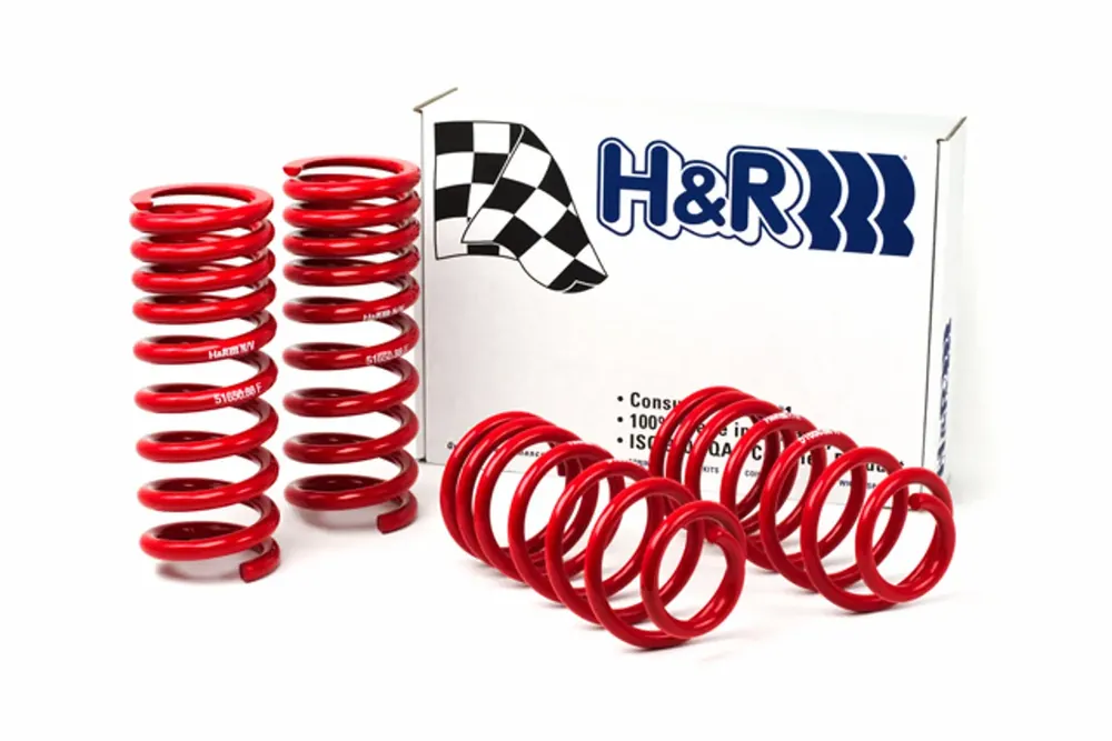 Must Have H&R H&R 94-95 Ford Mustang/Mustang Cobra V8 Race Spring