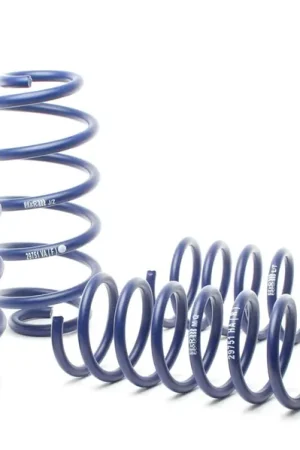 Premium H&R H&R 98-01 Audi A4 Avant (2WD) B5 Sport Spring