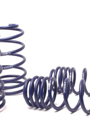 Budget H&R H&R 98-05 Volkswagen Golf/Jetta VR6/TDI/1.8T MK4 OE Sport Spring