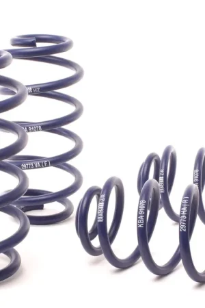 Original H&R H&R 98-05 Volkswagen Passat Sedan 1.8T/2.0L Sport Spring (Incl. B5.5 Facelift)
