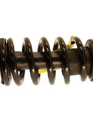 KYB Shocks KYB Shocks & Struts Strut Plus Rear Left HONDA CR-V 2004-2002 Get Yours
