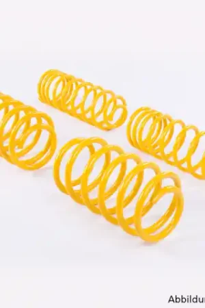 Free Shipping ST Suspension Lowering Sport Springs (Mustang 15)