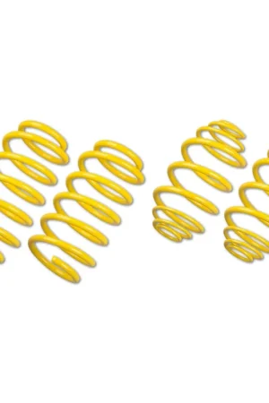 One Day Deal ST Suspension Lowering Sport Springs (X5 08/14-07/19)