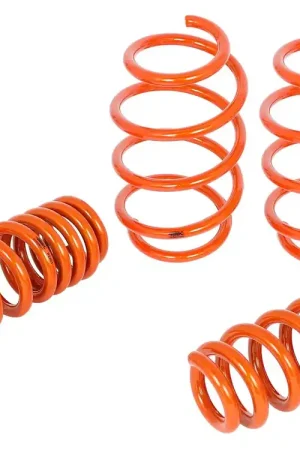 Hassle-Free Returns aFe Lowering Springs (BMW M3 08-13)